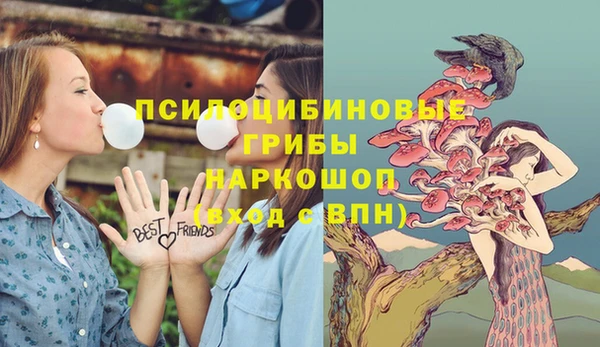 прущая мука Верхний Тагил