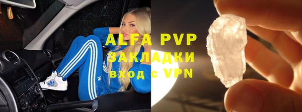 ГАЛЛЮЦИНОГЕННЫЕ ГРИБЫ Верея