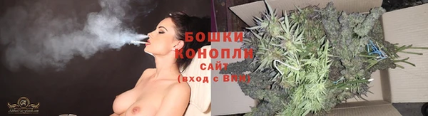 ГАЛЛЮЦИНОГЕННЫЕ ГРИБЫ Верея
