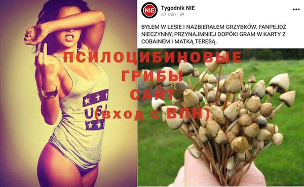 прущая мука Верхний Тагил