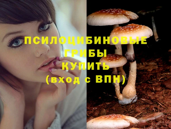 прущая мука Верхний Тагил