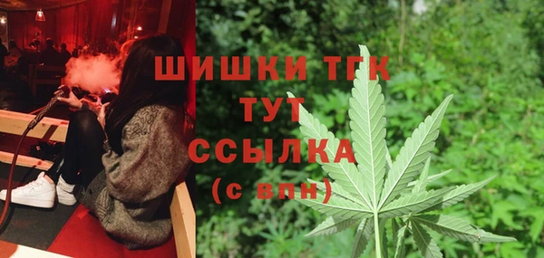 ГАЛЛЮЦИНОГЕННЫЕ ГРИБЫ Верея