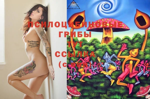 ГАЛЛЮЦИНОГЕННЫЕ ГРИБЫ Верея