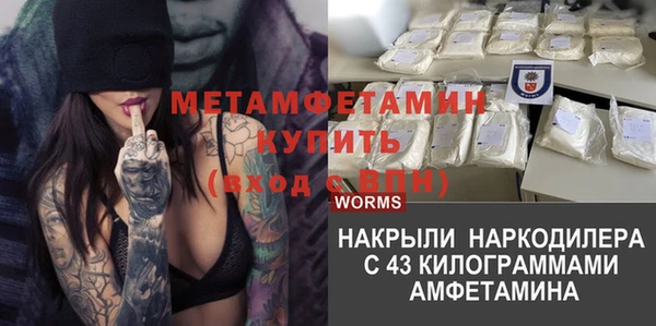 ГАЛЛЮЦИНОГЕННЫЕ ГРИБЫ Верея