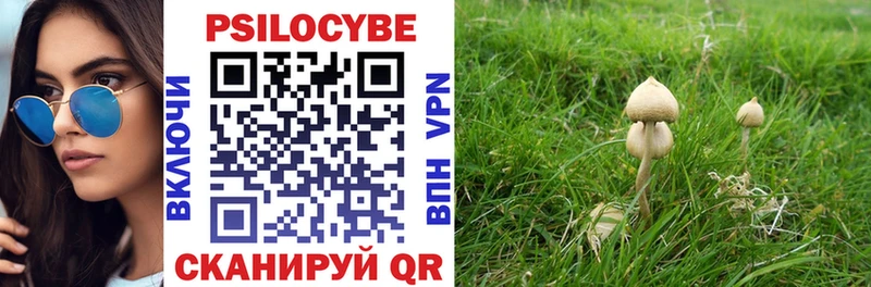 Купить  Красноперекопск  Псилоцибиновые грибы Magic Shrooms 