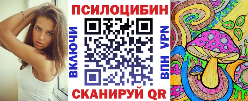 Псилоцибиновые грибы Cubensis Красноперекопск